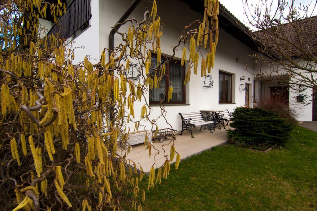 Apartmany Pod Kozakovem Tatobity Kültér fotó